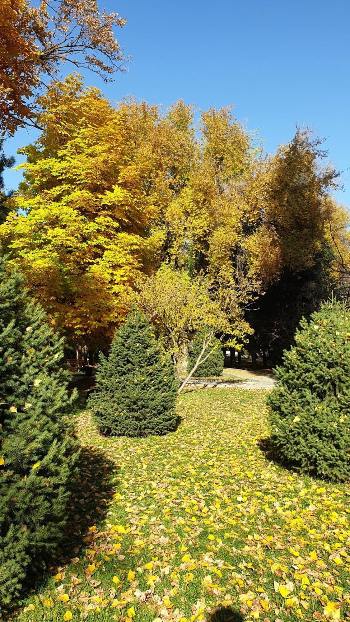 Appartamento Cosy flat in the city center Bishkek Esterno foto